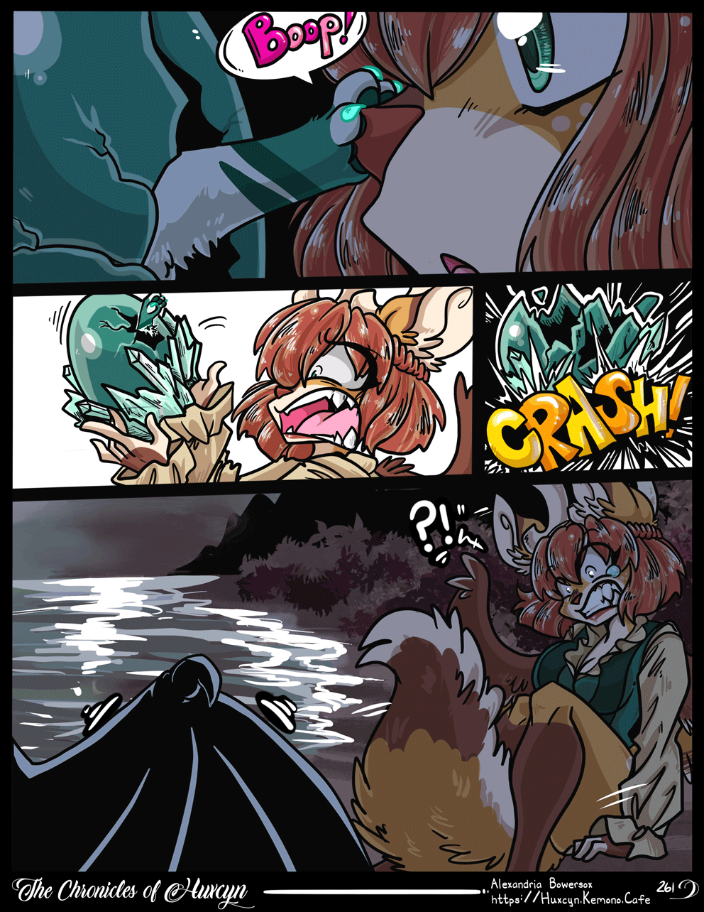 Chapter 14 261